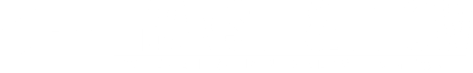 transitflowpros.com